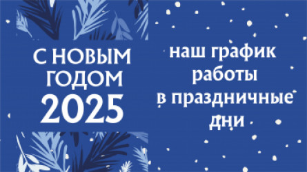 График работы в праздничные дни 2025